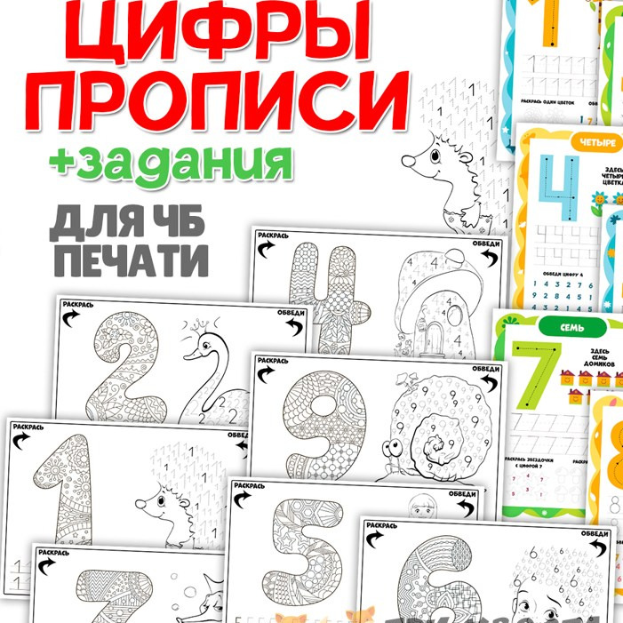 Сборник «Цифры и прописи» — начальный счёт и письмо
