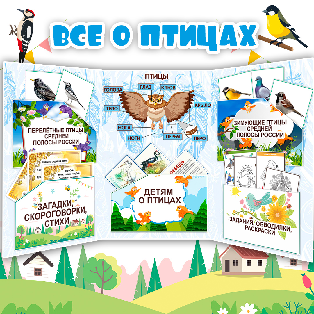 Лэпбук «Все о птицах» комплект заданий / Зимующие
