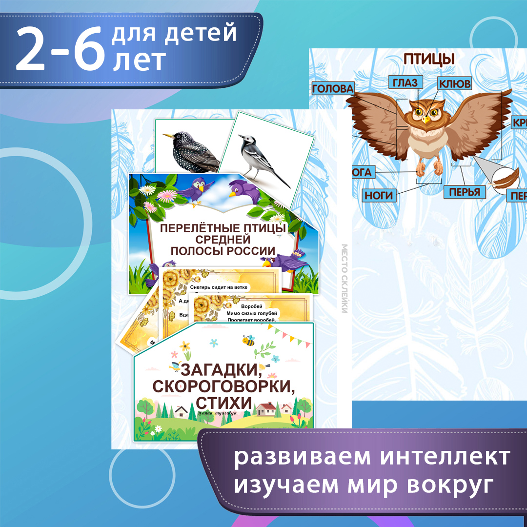 Лэпбук «Птицы» — перелётные, зимующие, домашние — превью страницы 2