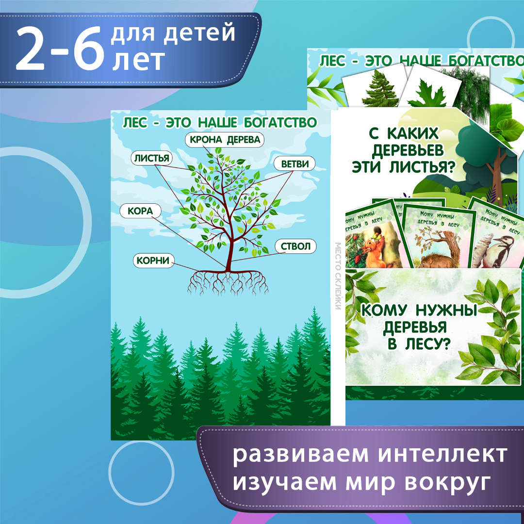 Лэпбук «Деревья» — виды, листья, строение, природа — превью страницы 2
