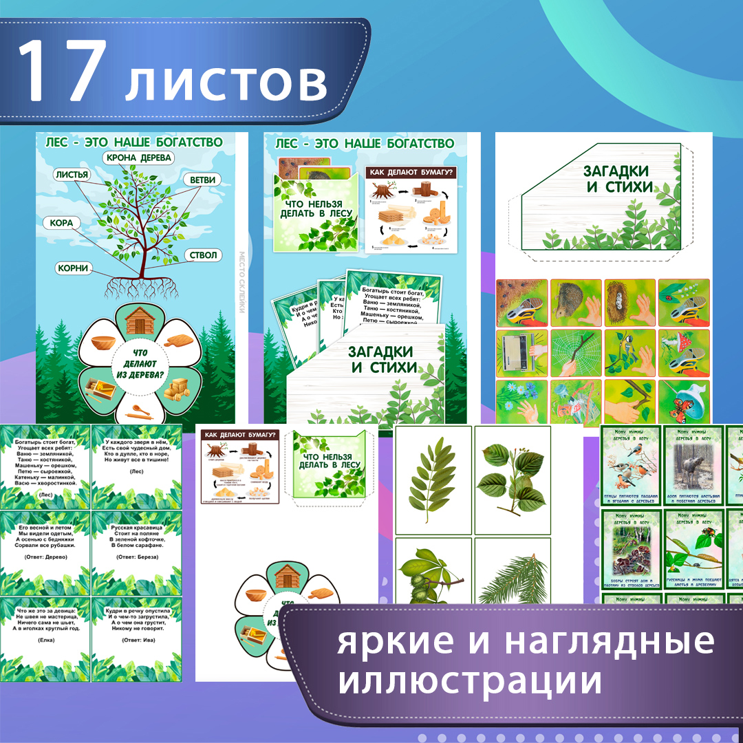 Лэпбук «Деревья» — виды, листья, строение, природа — превью страницы 3