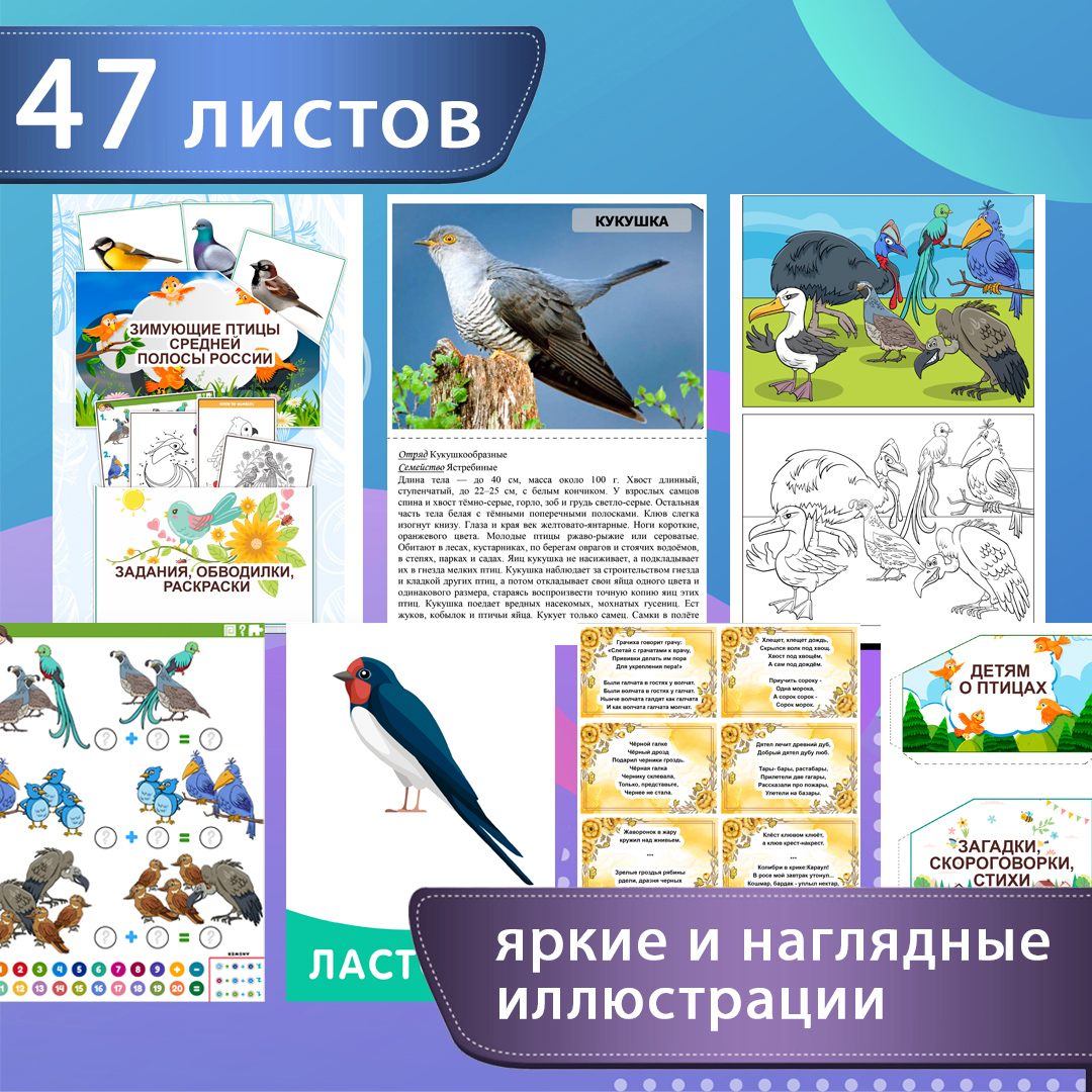 Лэпбук «Птицы» — перелётные, зимующие, домашние — превью страницы 3