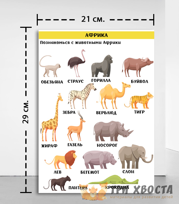Карточки «Континенты» — материки и страны для детей — превью страницы 3