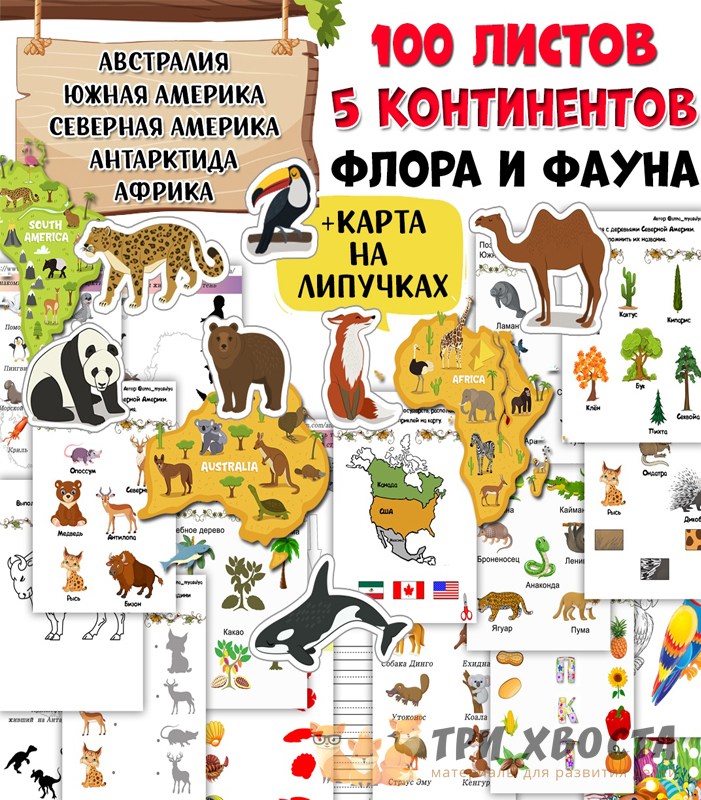 Карточки «Континенты» — материки и страны для детей