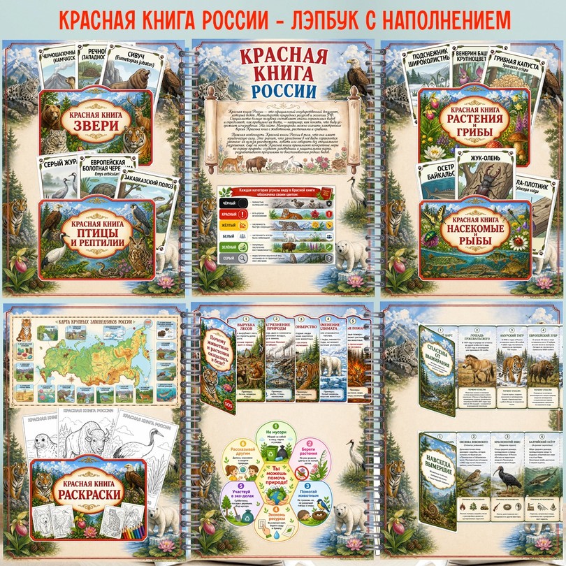 Лэпбук Красная книга России — 34 карточки и задания для детей 4-7 лет