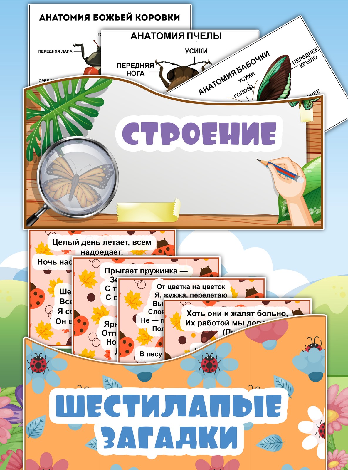 Лэпбук В мире насекомых — 31 карточка и задание для детей 4-7 лет — превью страницы 3