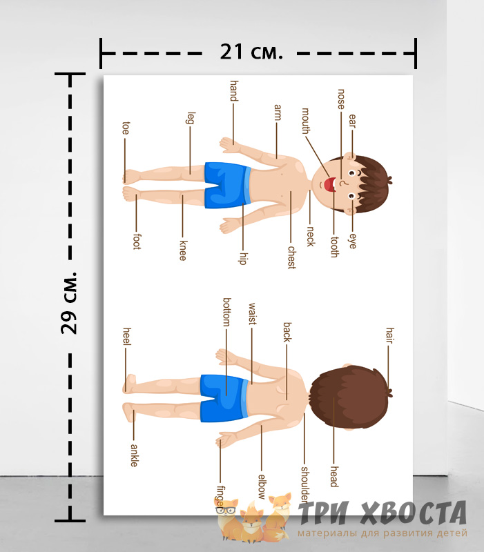 Сборник «Мой первый английский» для детей 4-5 лет — превью страницы 3