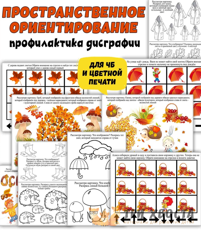 Сборник «Пространственное ориентирование» — топология и направления — превью страницы 2