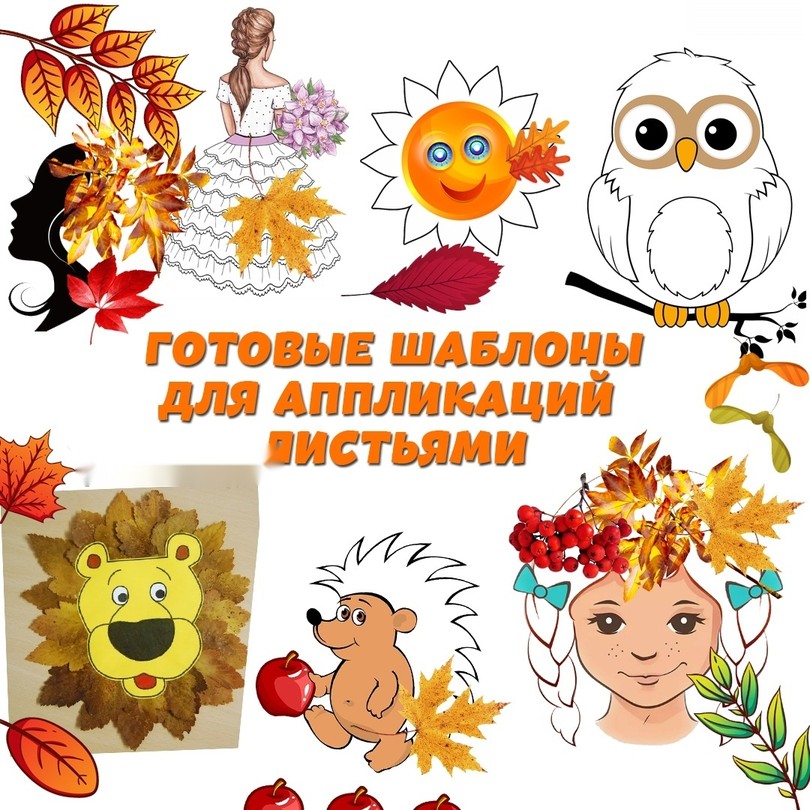 Шаблоны для аппликаций из листьев — ёжик, сова, мишка — PDF-пособие для детсада
