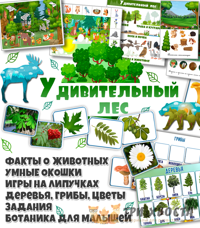 Сборник «Удивительный лес» — экология и природа — превью страницы 2