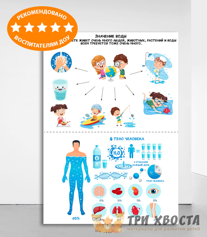 Карточки «Вода вокруг нас» — материалы об окружающем мире — превью страницы 4