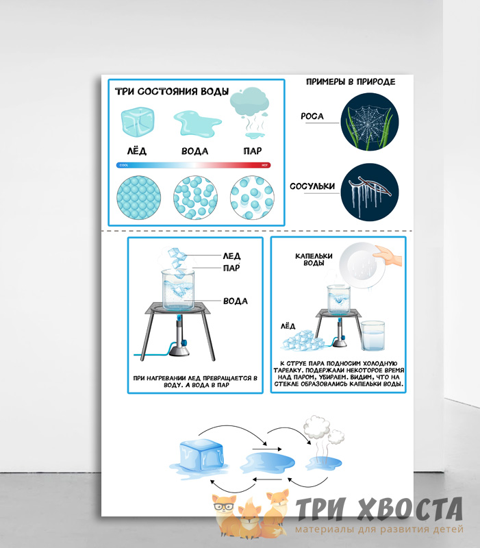 Карточки «Вода вокруг нас» — материалы об окружающем мире — превью страницы 5