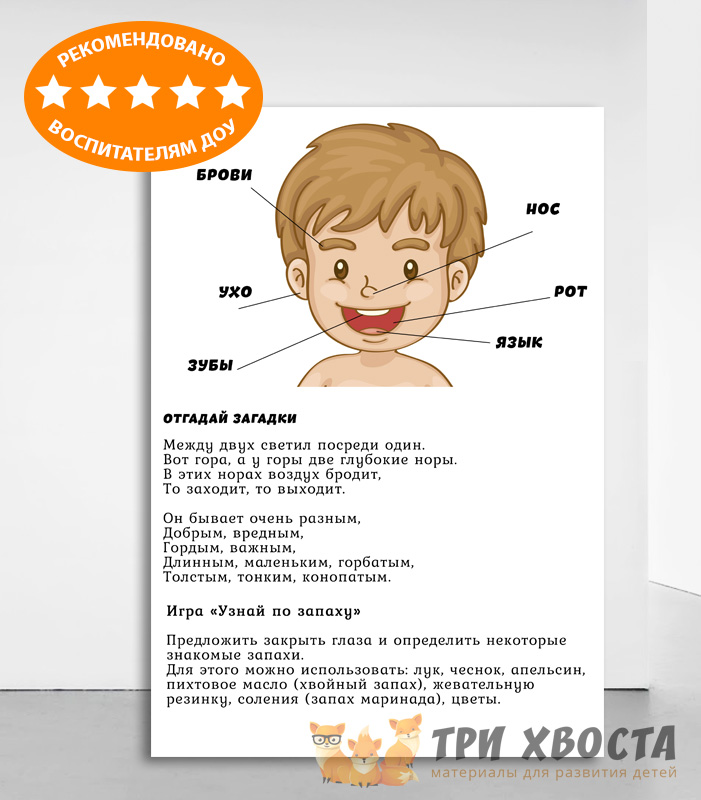 Сборник «Я и моё тело» — анатомия для дошкольников — превью страницы 3