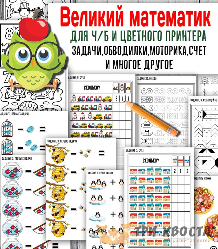 Великий математик