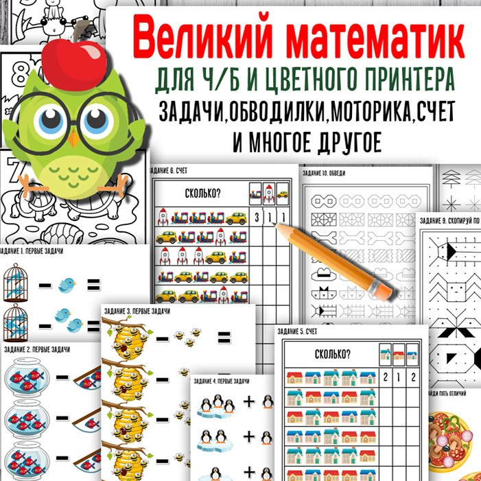 Великий математик